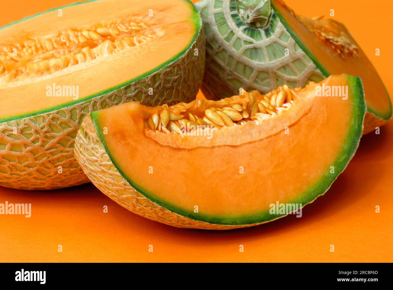 Verrechnete Melone (Cucumis Melo var. Reticulatus) Stockfoto