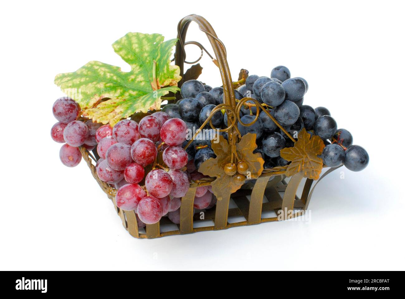Trauben im Korb (Vitis vinifera) Stockfoto
