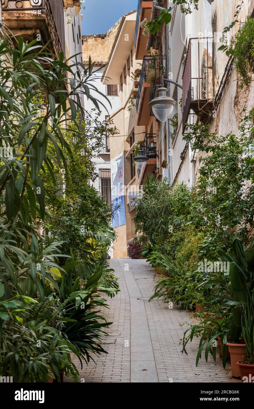 Gasse in der Altstadt von Javea (Xabia) an der Costa Blanca mit vielen Pflanzen Stockfoto