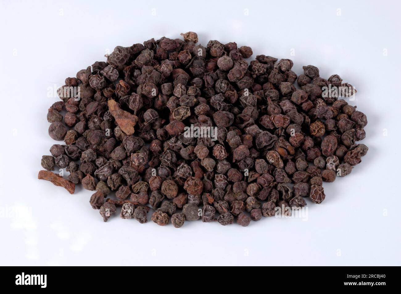 Schisandra, Beere, Chinesische Spaltbeere, Obst mit fünf Geschmacksrichtungen, Obst mit fünf Geschmacksrichtungen, Schisandra chinensis (Schisandra chinensis), Chinesische Beere Stockfoto