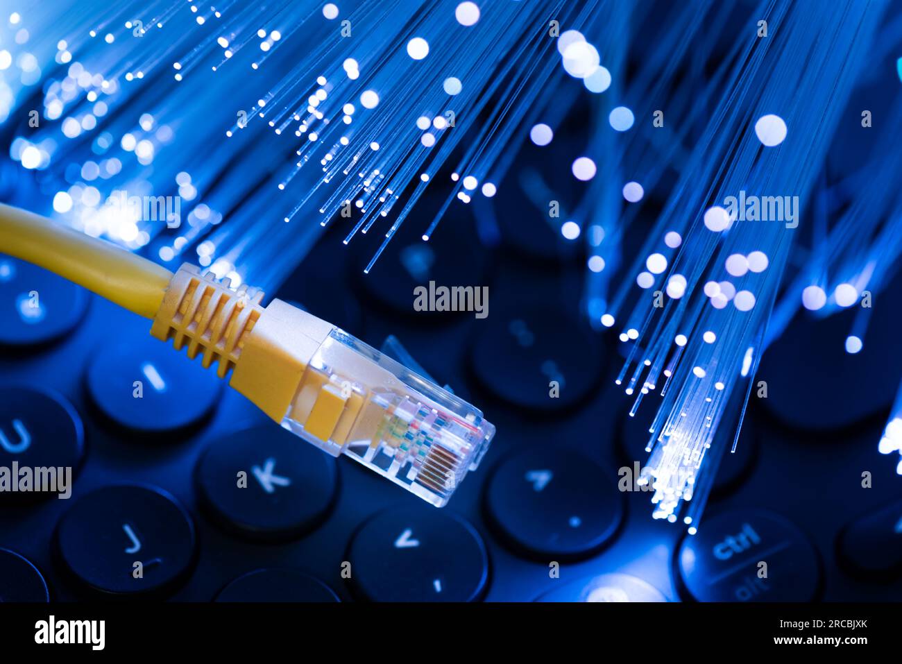 Internetkabel, Hochgeschwindigkeitsverbindung, Glasfaserkonzept Stockfoto