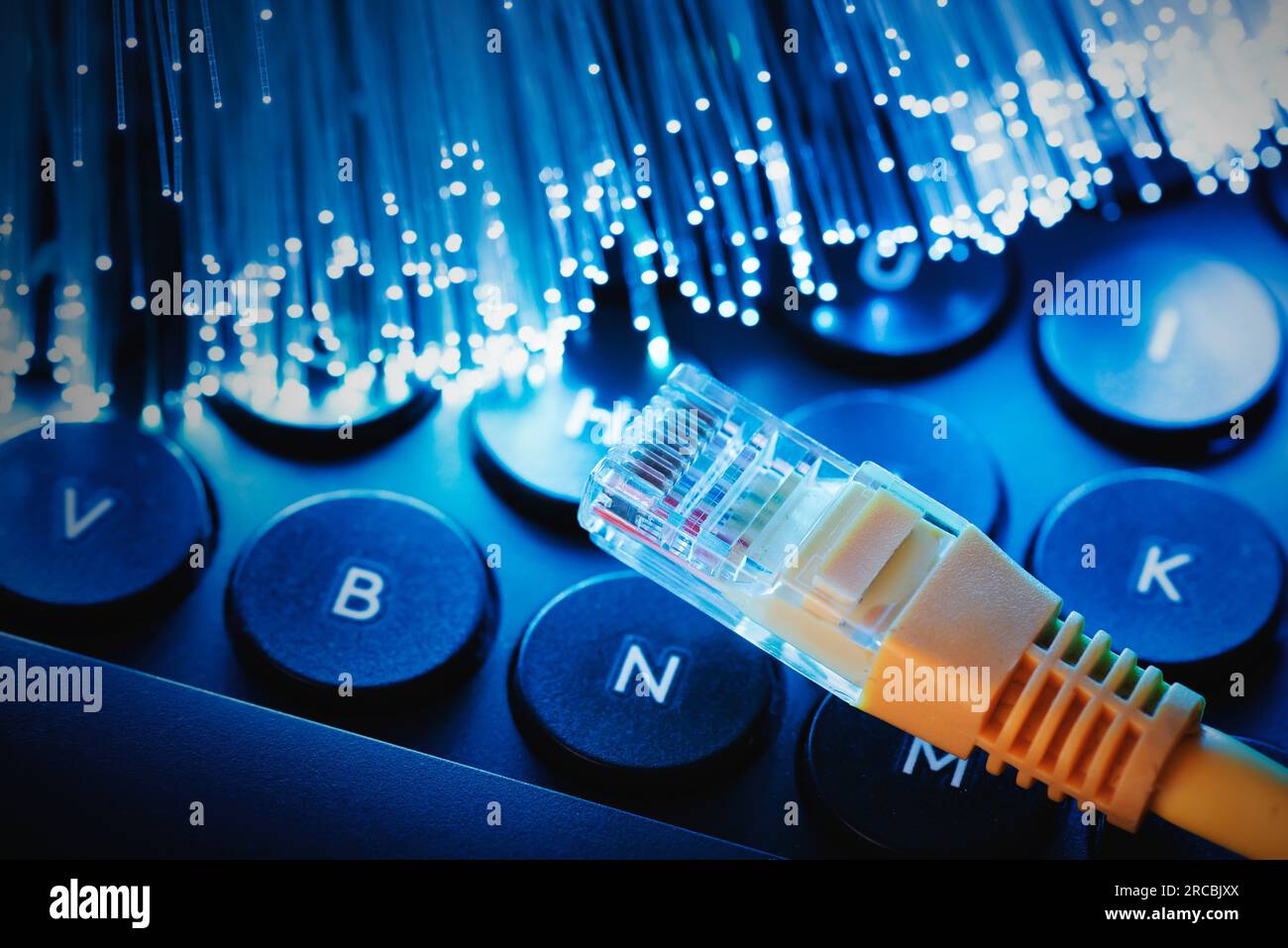 Internetkabel, Hochgeschwindigkeitsverbindung, Glasfaserkonzept Stockfoto