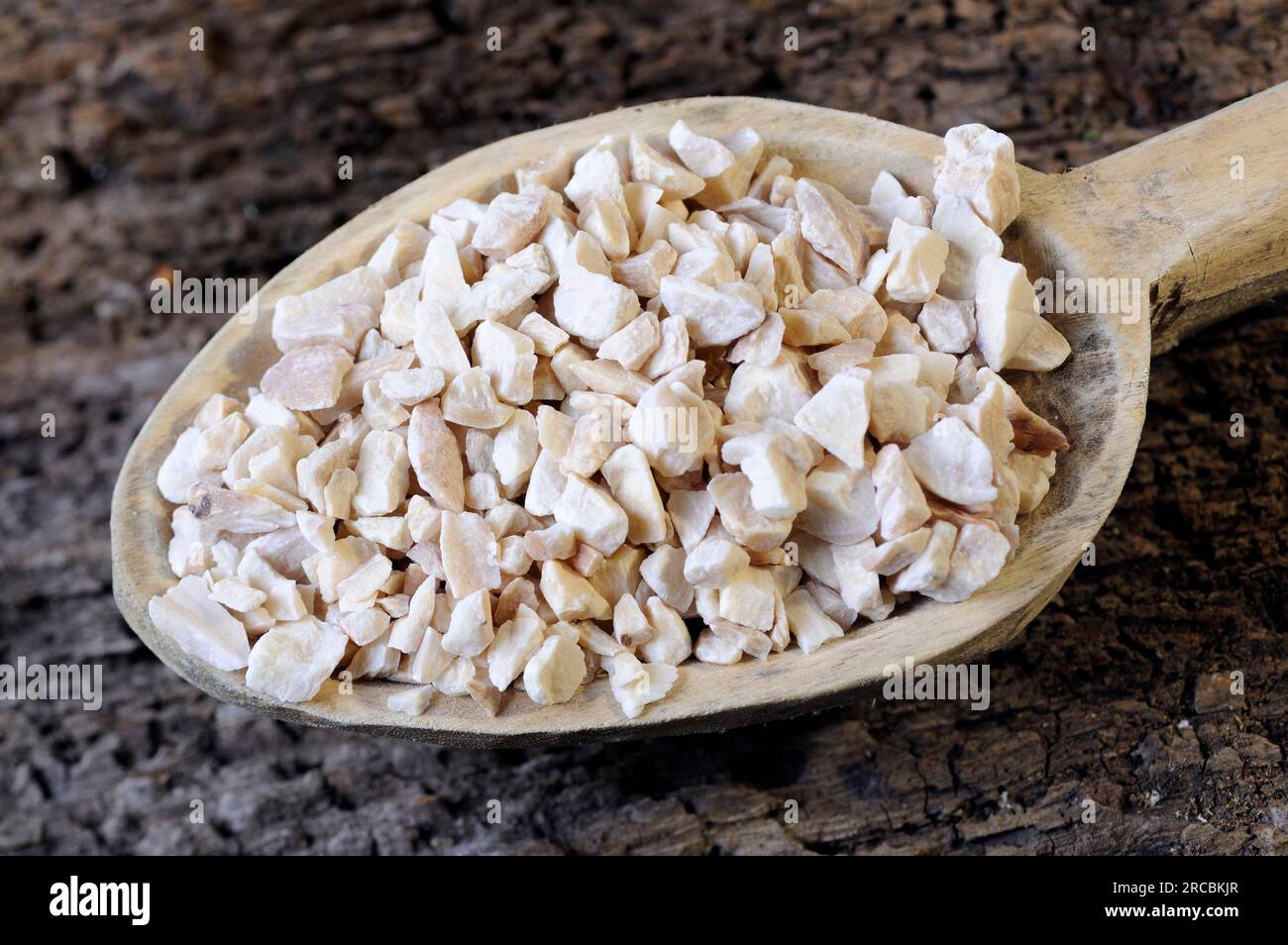 Weiße Pfirsichwurzel (Paeoniae radix Alba) Stockfoto