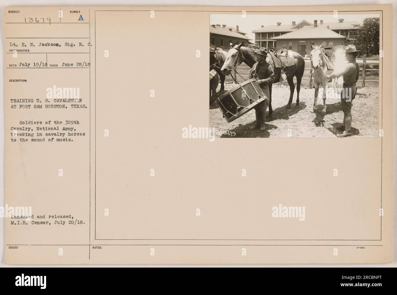 Soldaten der 309. Kavallerie, National Army, brechen beim Training in Fort Sam Houston, Texas, Kavalleriepferde zum Klang der Musik ein. Das Foto ging am 19. Juli 1918 ein und wurde am 28. Juni 1918 aufgenommen. Es wurde zensiert und am 20. Juli 1918 vom M.I.B.-Zensor veröffentlicht." Stockfoto