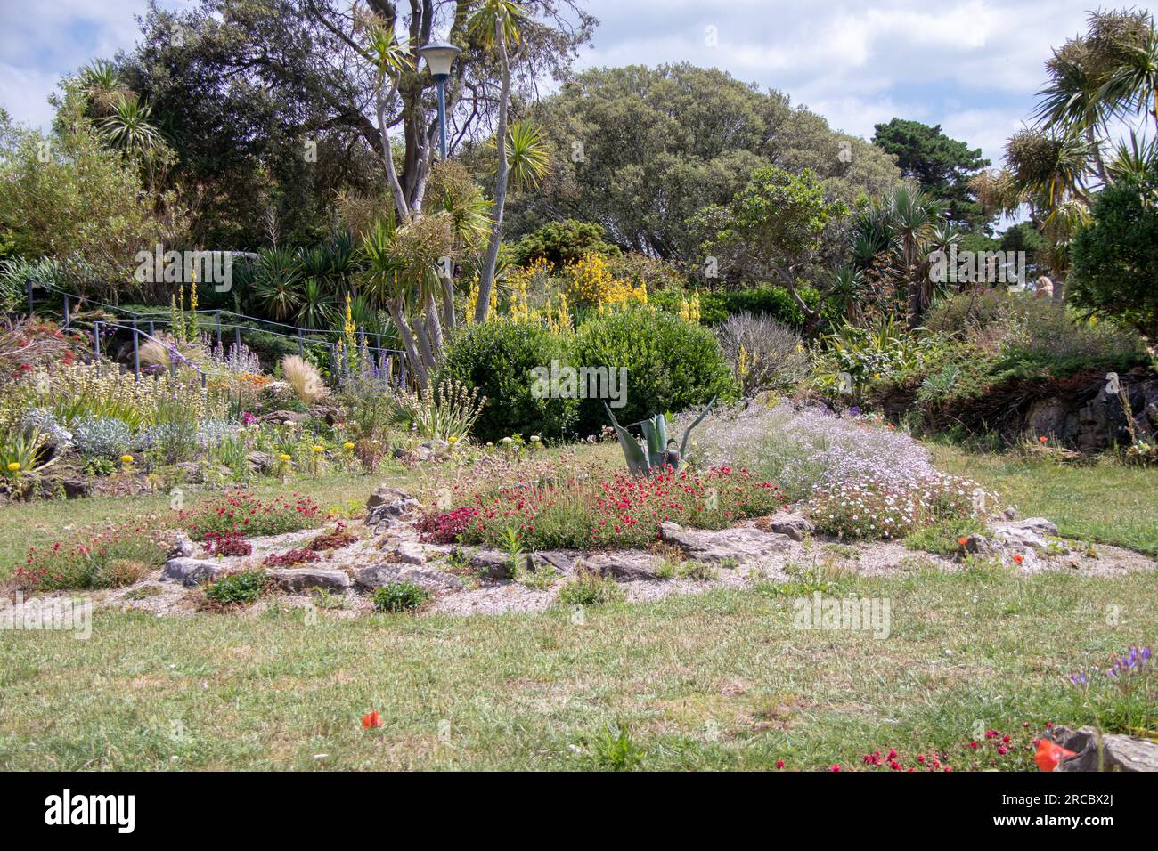 Aufnahmen von Natur und Flora und Fauna Stockfoto