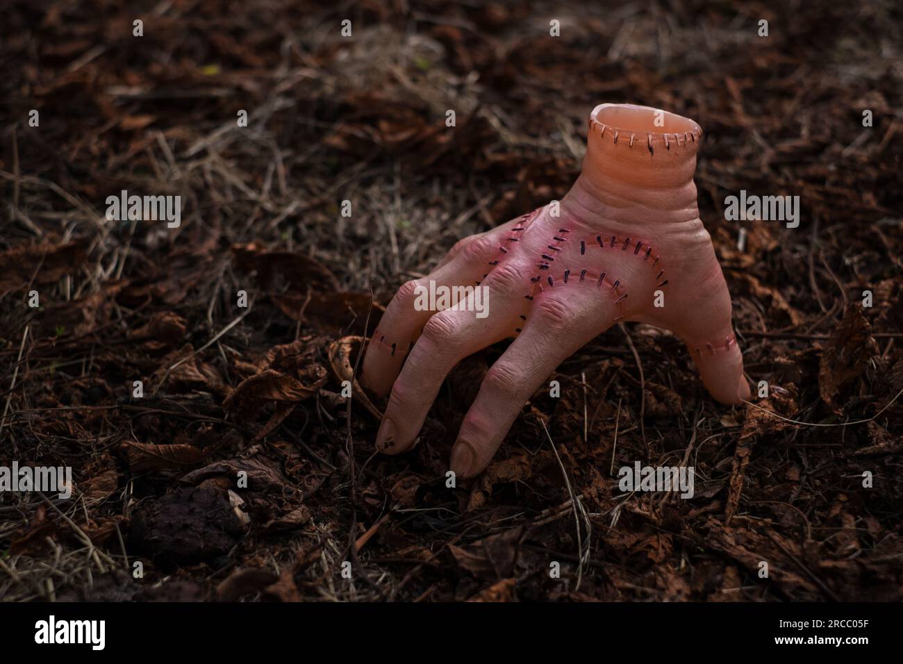Realistische menschliche Hand oder ein Ding mit Narben und Stichen. Mittwoch-Addams-Filmkonzept. Stockfoto