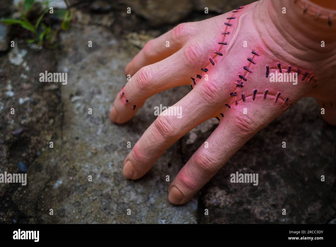 Unheimlich realistische menschliche Hand mit Narben und Stichen. Hand mit aktiven Fingern abschneiden. Plastikspielzeug. Stockfoto