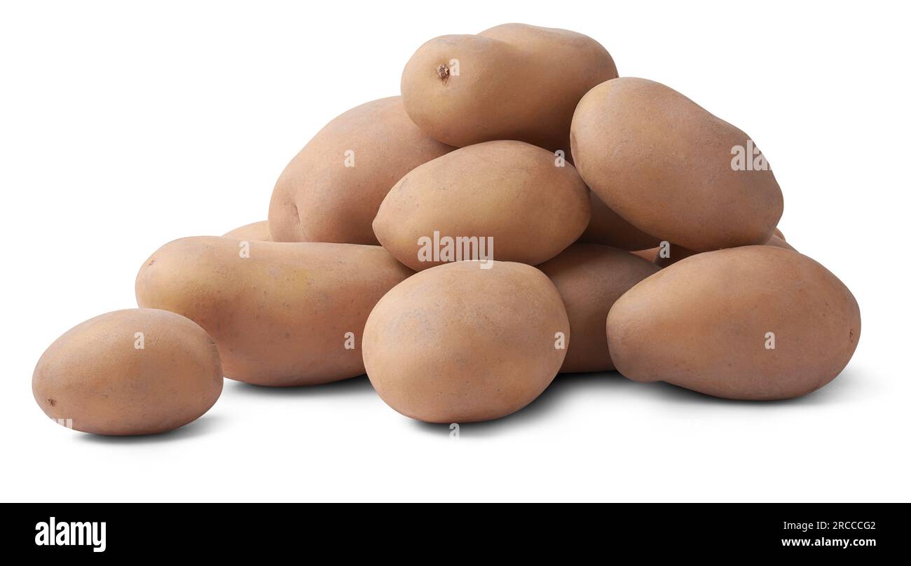 Haufen frisch geernteter roher Kartoffeln, solanum tuberosum, stärkehaltiges, tuberöses Gemüse, isoliert auf weißem Hintergrund Stockfoto