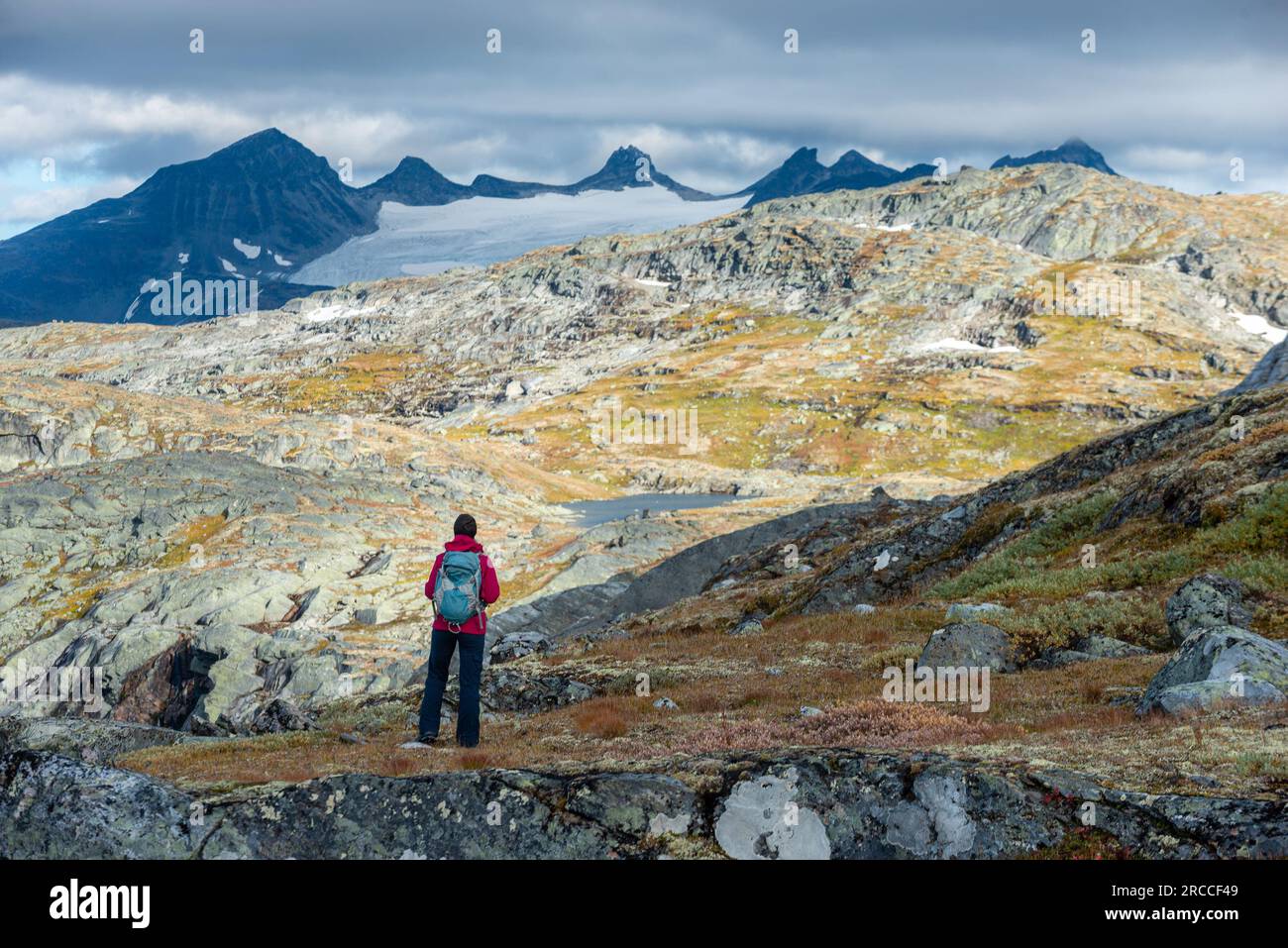 Wanderer bestaunen die schönen Berge in der Nähe des Skalavatnet Lake Suldal, Norwegen Stockfoto