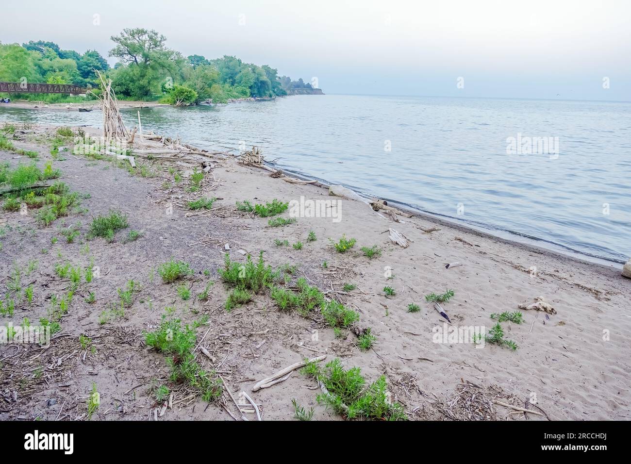 Ein ungepflegter und schlechter Strand voller grober Sand und Gräser in Toronto Kanada Stockfoto