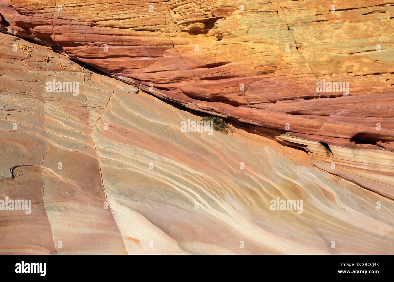 Sandsteintextur im Pink Canyon – Valley of Fire State Park, Nevada Stockfoto