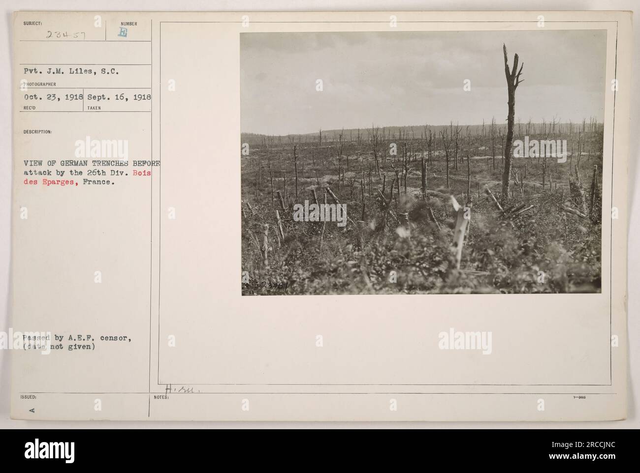 Blick auf deutsche Schützengräben in Bois des Eparges, Frankreich, vor dem Angriff der 26. Division. Dieses Foto wurde am 16. September 1918 von Pvt. J.M. Liles aufgenommen. Es wurde vom A.E.F.-Zensor verabschiedet, obwohl das genaue Datum der Zensur nicht angegeben ist. Stockfoto