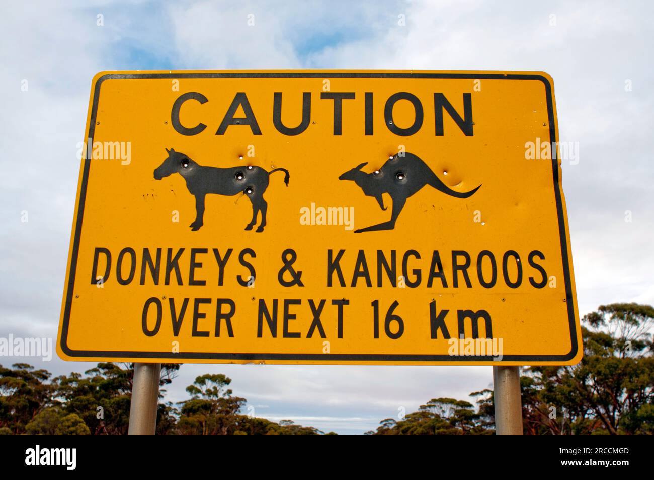 Straßenschild warnt vor der Gefahr von Kängurus und Eseln auf der Straße, Westaustralien Stockfoto