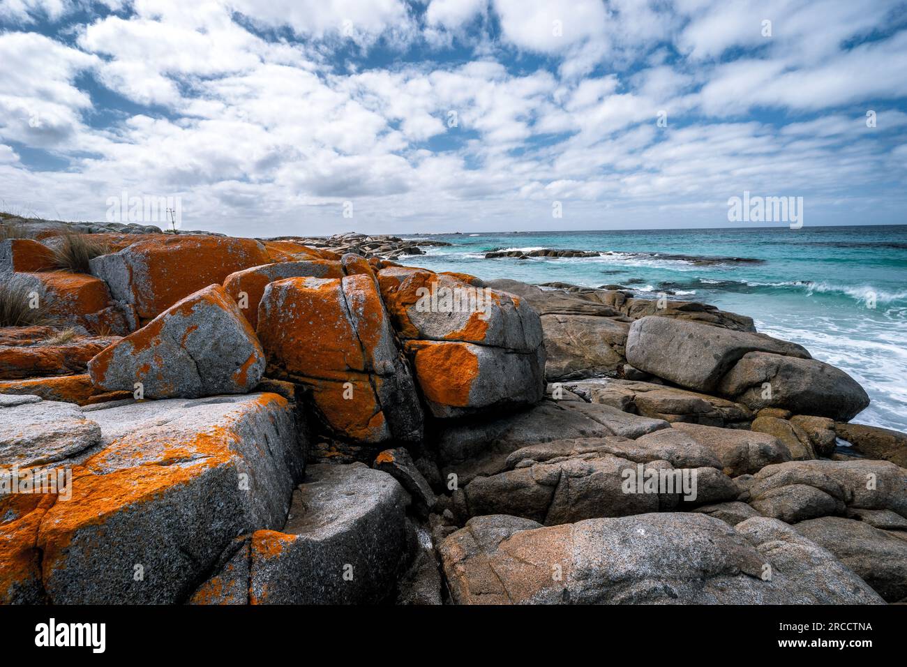 Bay of Fires in Tasmanien, Australien Stockfoto