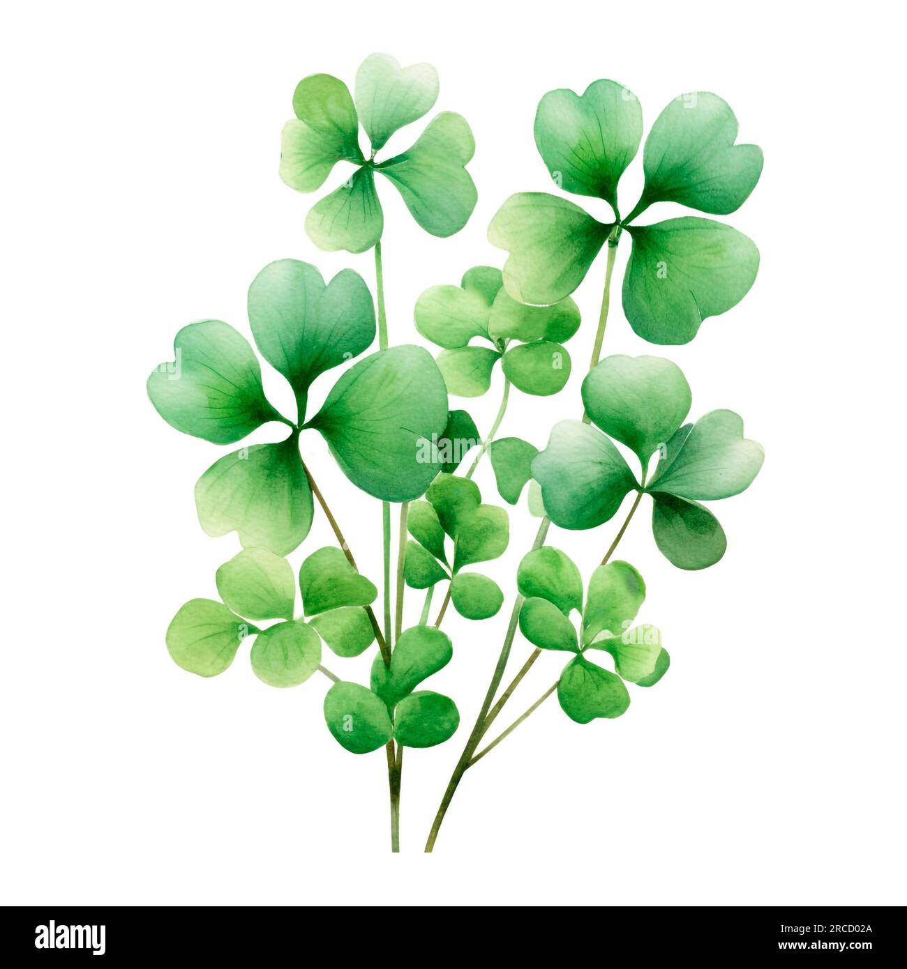 Glücklicher Klee mit vier Blättern. Patricks Day Aquarell-Klickstein Stockfoto