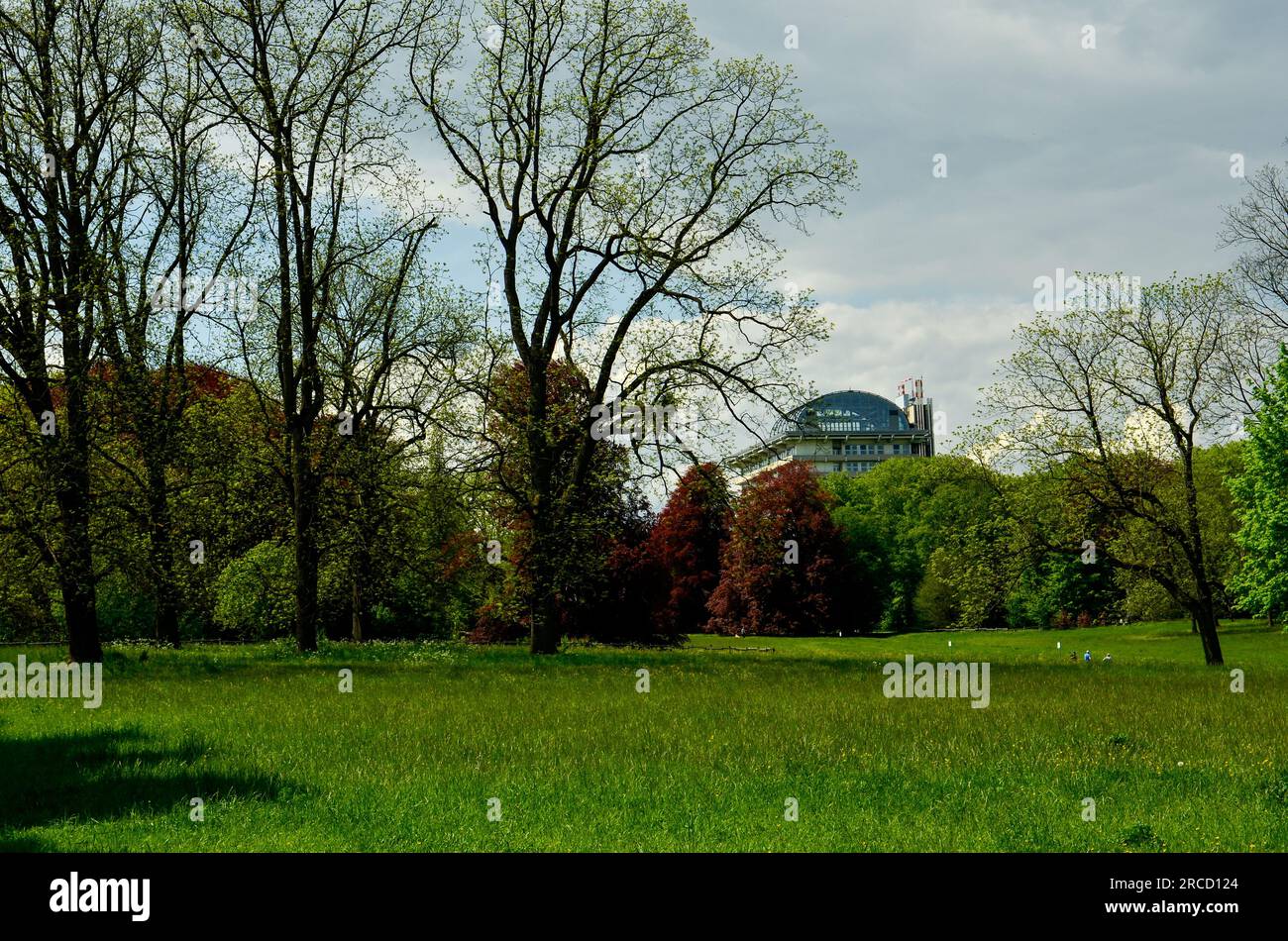 Große Parkwiese mit einigen grünen und roten Bäumen und ein großes Haus mit Glaskuppel im Hintergrund in Frankfurt Stockfoto