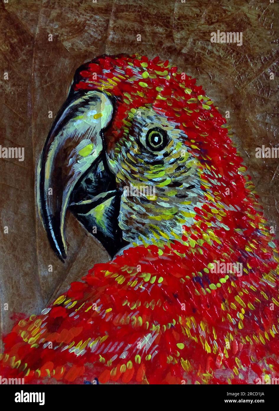 Handgezeichnete Kunstmalerei mit Ölfarbe Macaw Papageienvögel Stockfoto