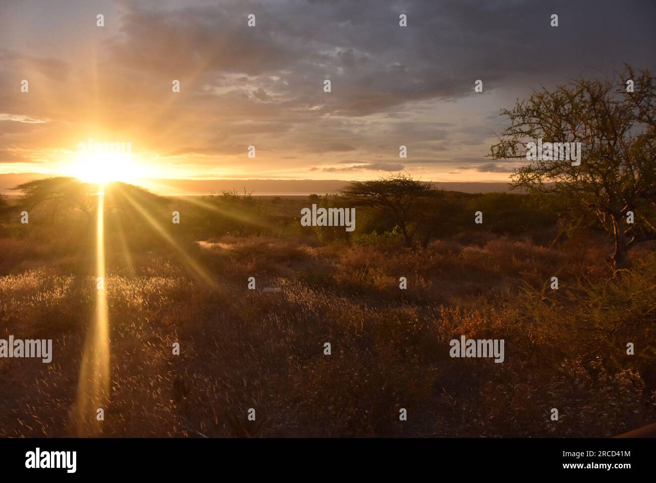 Wunderschöner afrikanischer Sonnenuntergang. Im April in Kenia fotografiert Stockfoto