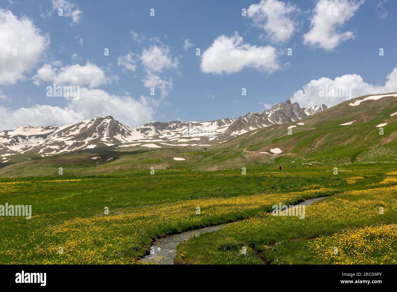 Berzelanplateau schneebedeckte Berglandschaft und blühender Boden, Hakkari, Türkei Stockfoto