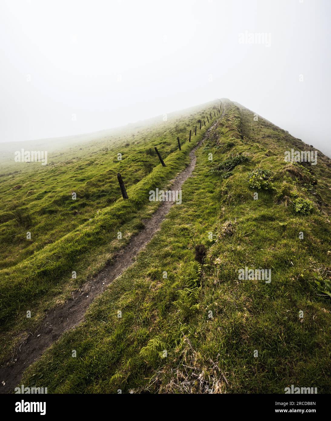 Ridgetop Wanderweg verschwindet in Nebel, Faial, Azoren Stockfoto
