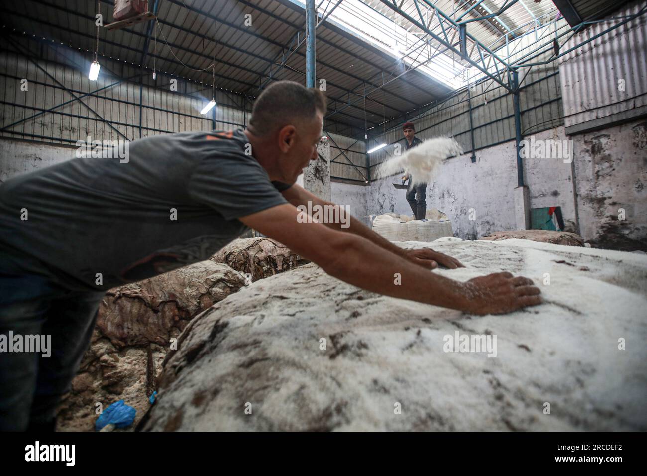 Palästinensische Männer in Gaza kaufen Tierhäute, die während Eid al-Adha geschlachtet werden, und tragen dann grobes Salz auf sie auf, als ersten Schritt beim Export in Fabriken im Westjordanland, um sie zu Leder für die Schuhherstellung zu verarbeiten. Gaza-Stadt, Palästina. Stockfoto