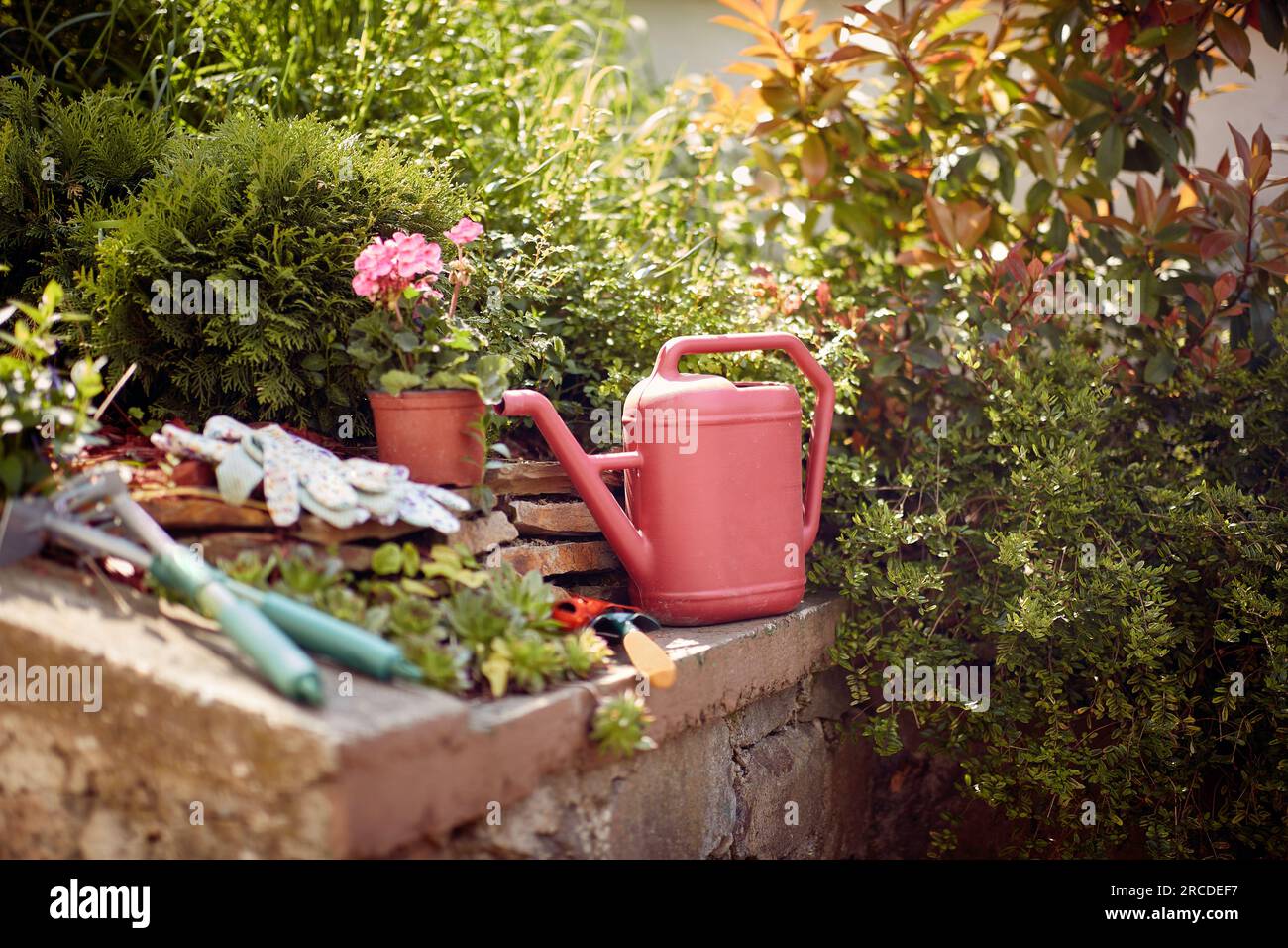 Sammlung von Gartengeräten und Zubehör. Von robusten Schaufeln und Schnittscheren bis hin zu bunten Gartenhandschuhen und Gießdosen – unverzichtbare Ausrüstung Stockfoto