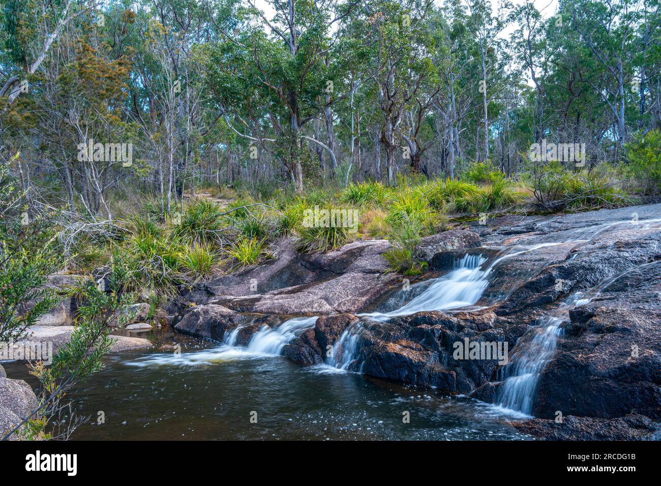 Little Basket Swamp Waterfall, Basket Swamp National Park, New England Tablelands, NSW Australien Stockfoto