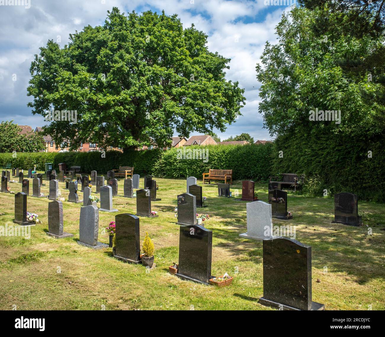 Reihen von Grabsteinen auf einem kleinen Friedhof an einem sonnigen Tag mit Bäumen im Hintergrund Stockfoto
