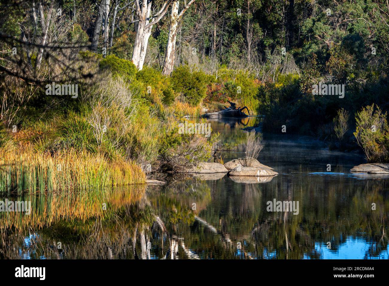 Platypus Pool in Cypress Pine Camping Area, Boonoo Boonoo National Park, Tenterfield, NSW, Australien Stockfoto