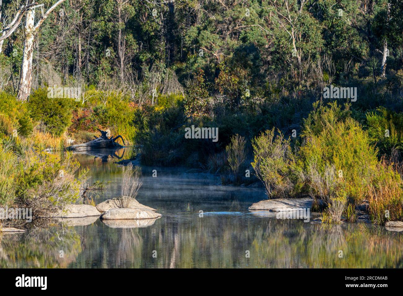 Platypus Pool in Cypress Pine Camping Area, Boonoo Boonoo National Park, Tenterfield, NSW, Australien Stockfoto