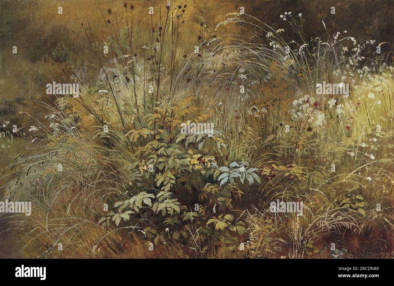 Grass 1892 von Ivan Shishkin Stockfoto