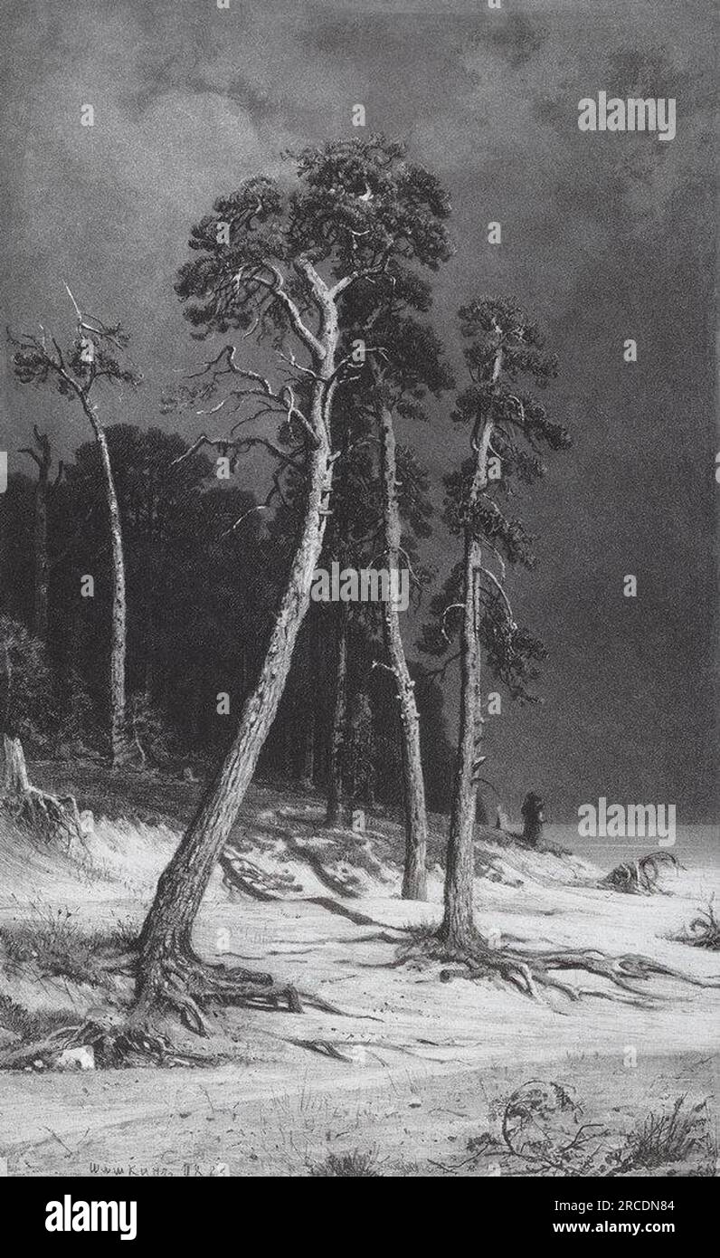 Pines 1892 von Ivan Shishkin Stockfoto