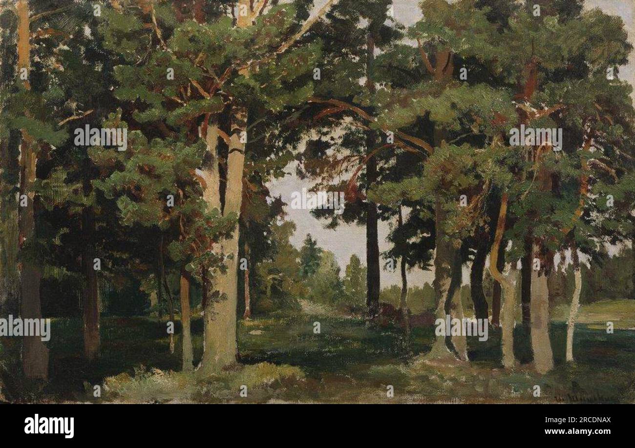 Forest 1893 von Ivan Shishkin Stockfoto