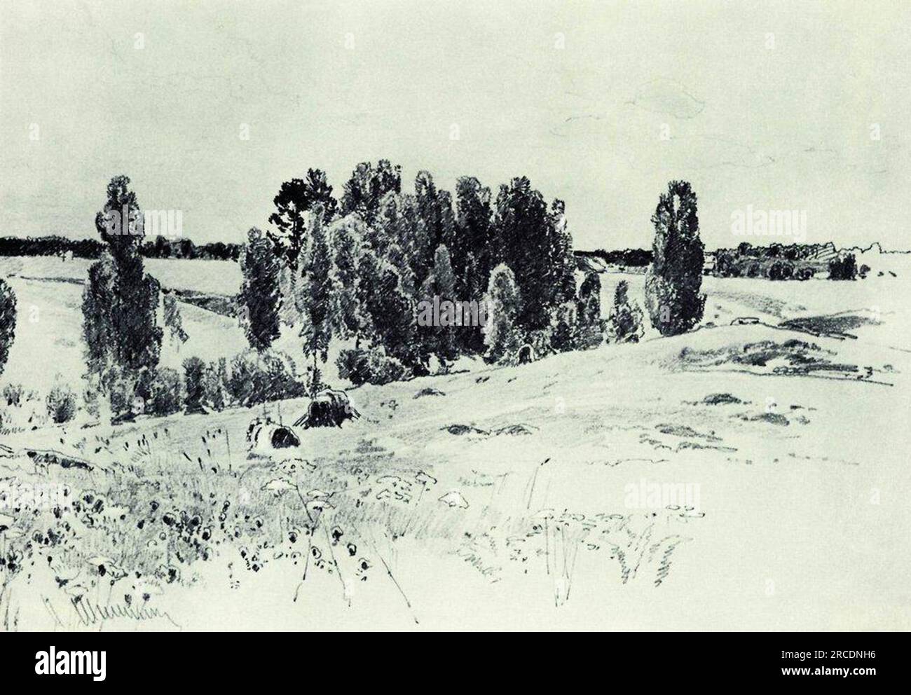 Fields and Groves von Ivan Shishkin Stockfoto
