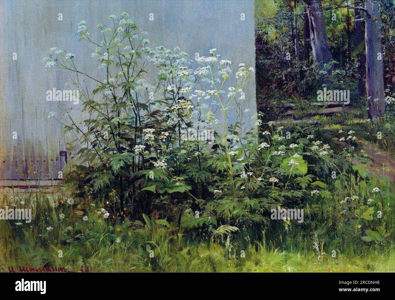 Blumen am Zaun von Ivan Shishkin Stockfoto