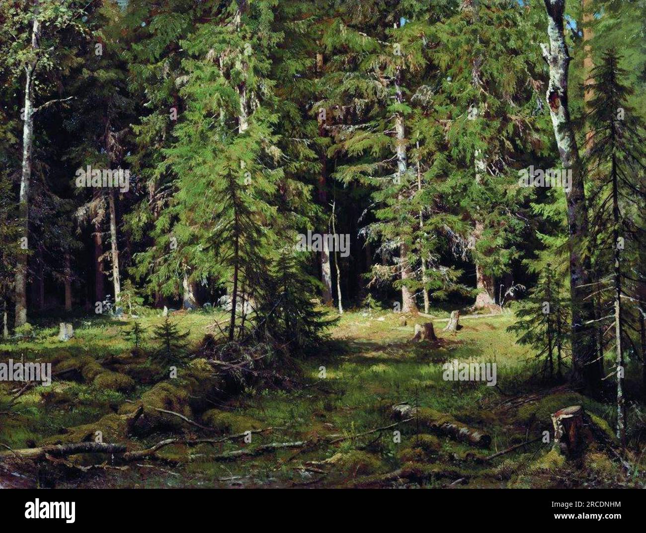 Forest von Ivan Shishkin Stockfoto