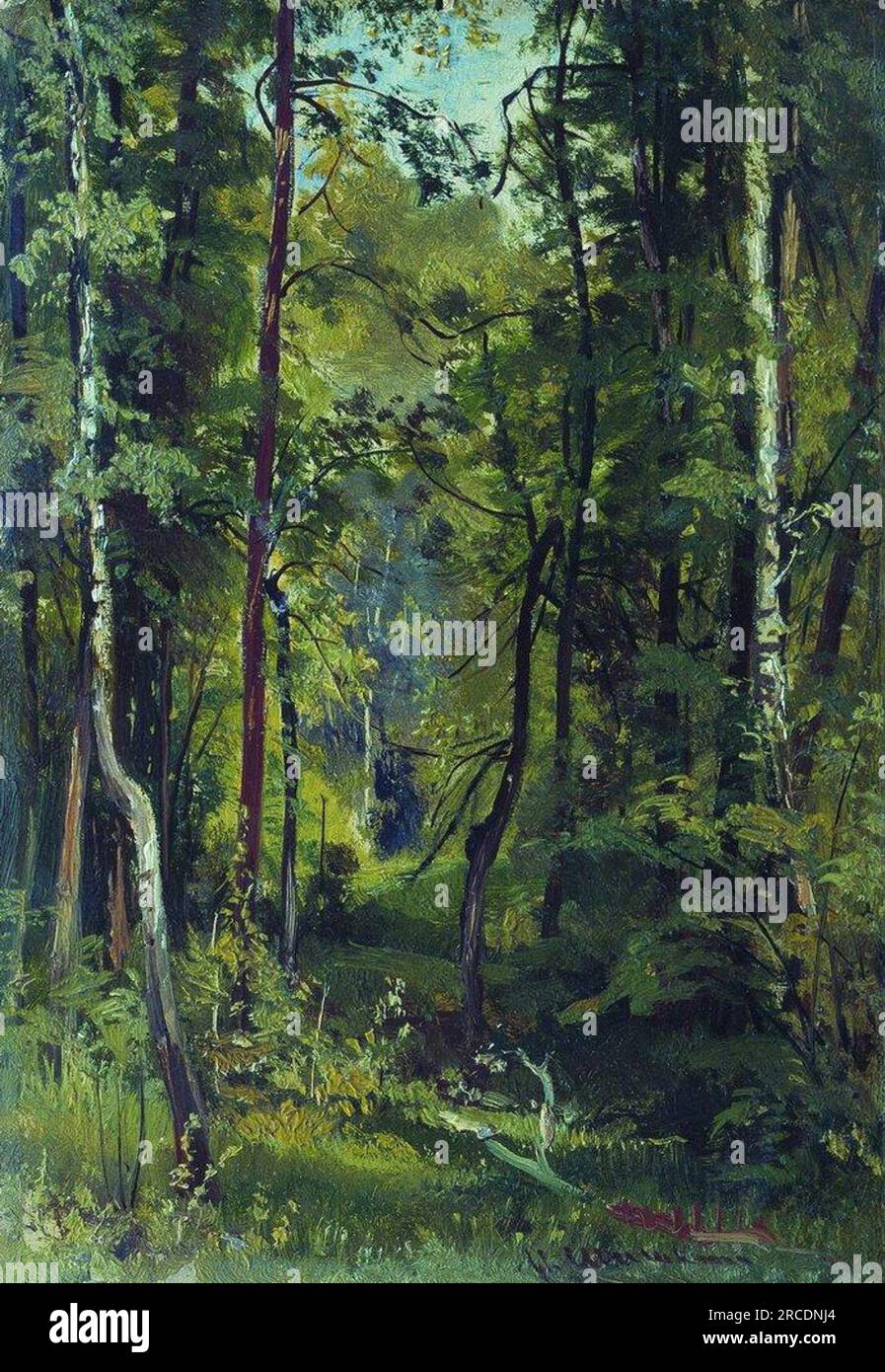 Forest von Ivan Shishkin Stockfoto