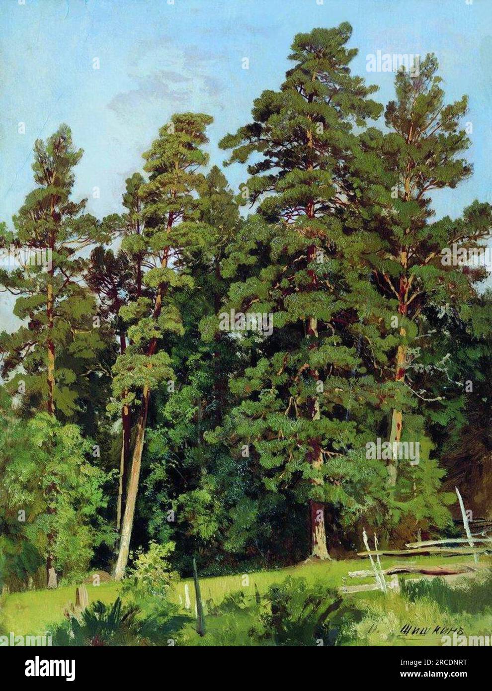 Pinienwald von Ivan Shishkin Stockfoto