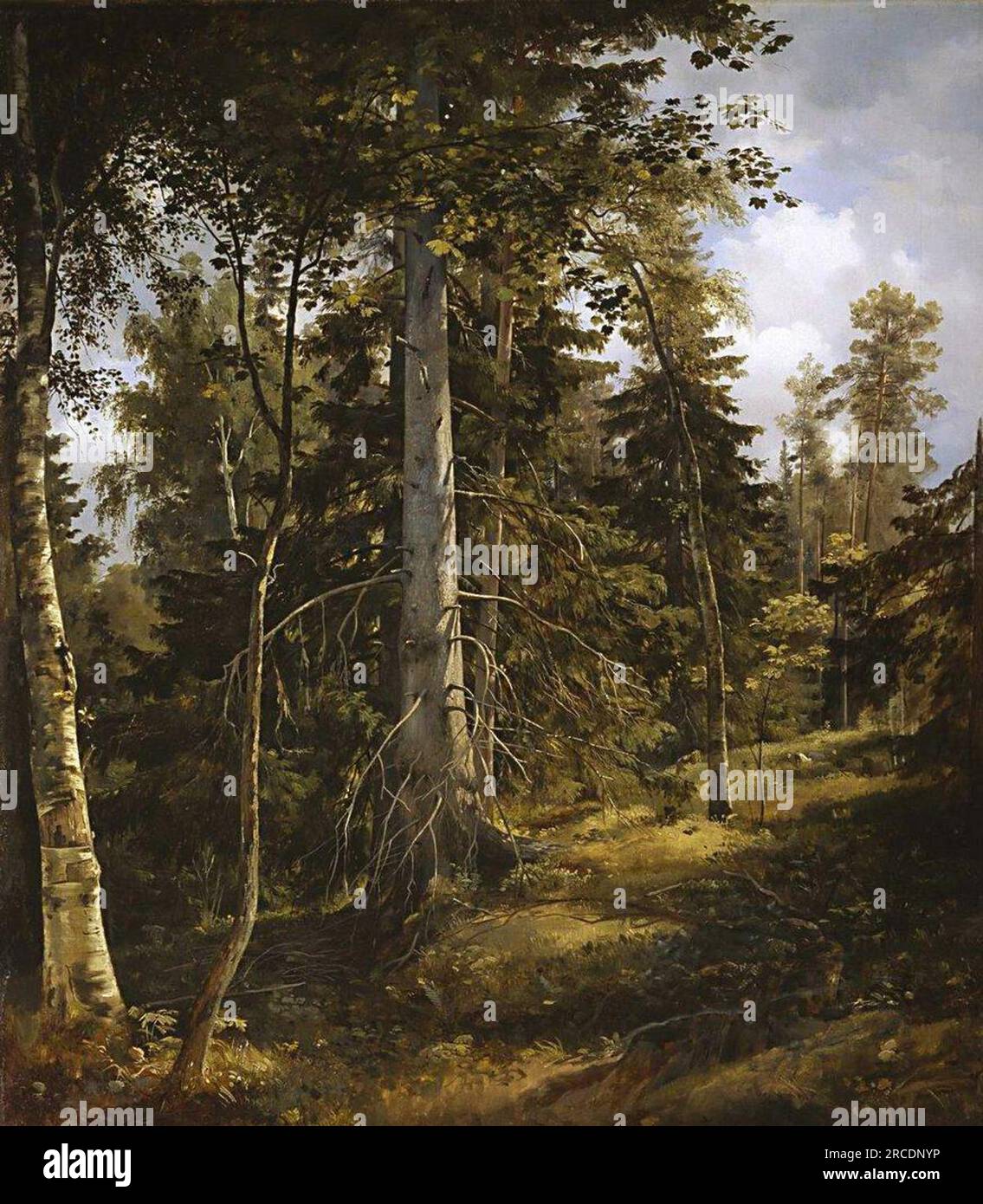 Verdeckt 1867 von Ivan Shishkin Stockfoto