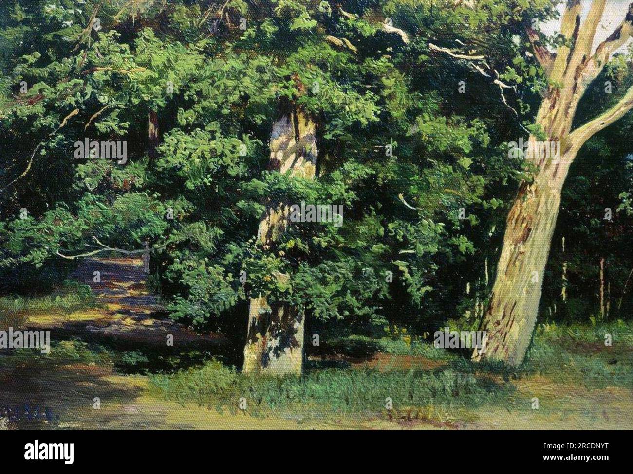Bäume von Ivan Shishkin Stockfoto