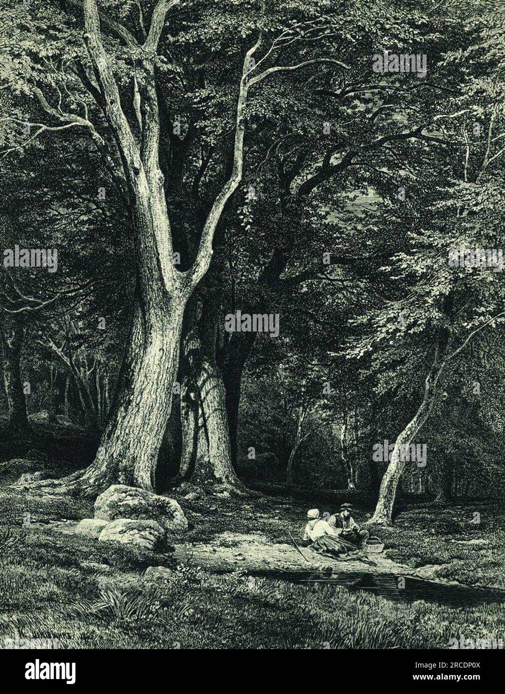 Forest 1869 von Ivan Shishkin Stockfoto