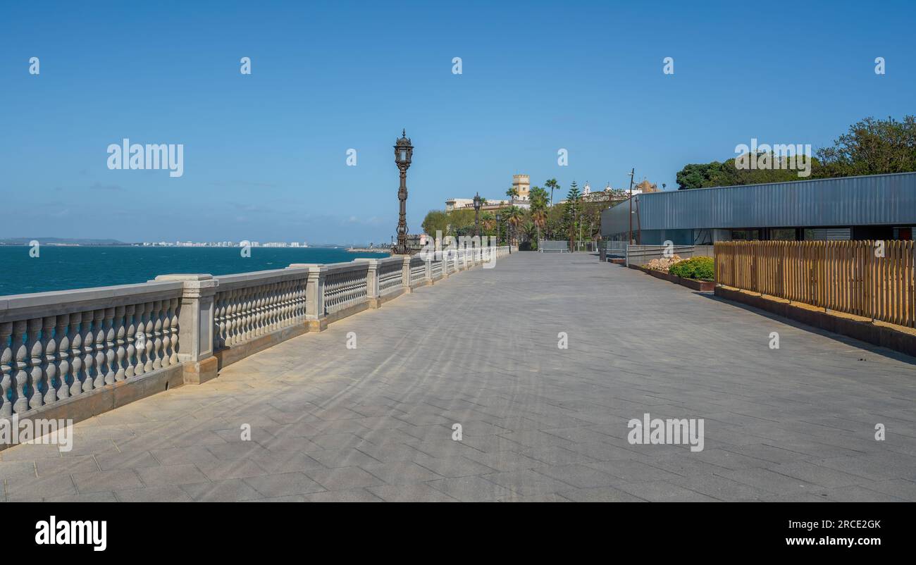 Paseo Santa Barbara im Park Genua (Parque Genoves) und Cadiz University - Cadiz, Andalusien, Spanien Stockfoto