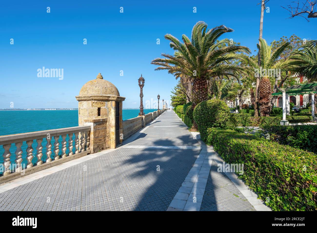Paseo Santa Barbara im Park Genua (Parque Genoves) - Cadiz, Andalusien, Spanien Stockfoto
