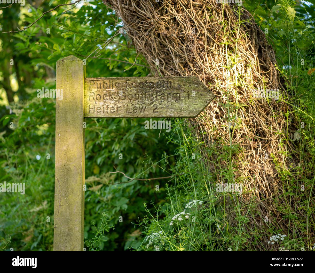 Holzschild Stockfoto