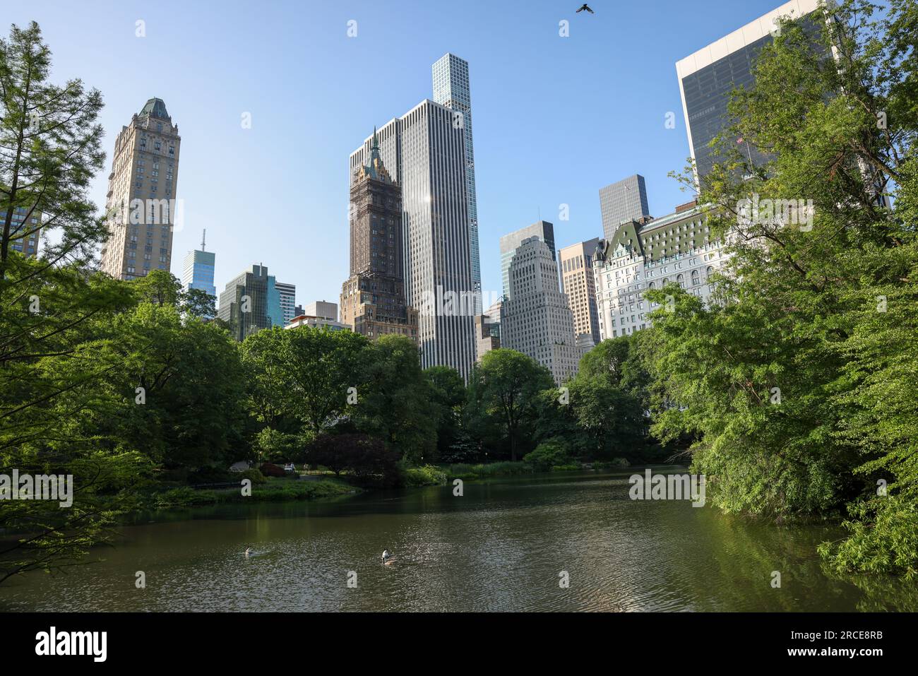 Fotografiert während eines Spaziergangs durch den Central Park. Stockfoto