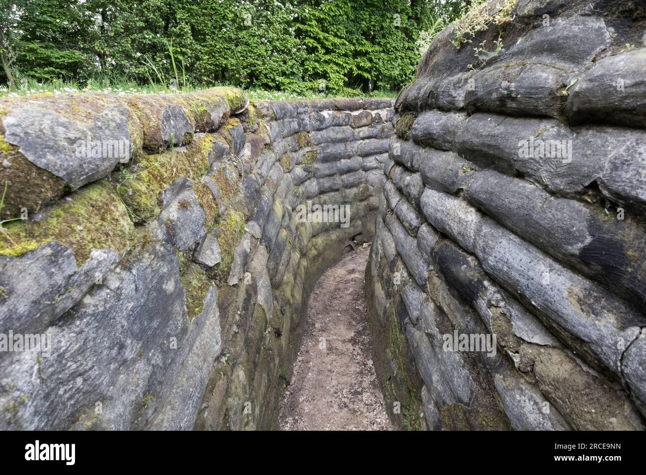 Gräben aus dem Ersten Weltkrieg, bekannt als Yorkshire Gräben, Ypern, Belgien, EU Stockfoto