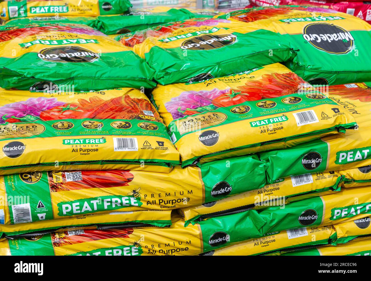 Beutel MiracleGro Torffreier Kompost im Garden Center, Großbritannien erhältlich Stockfoto