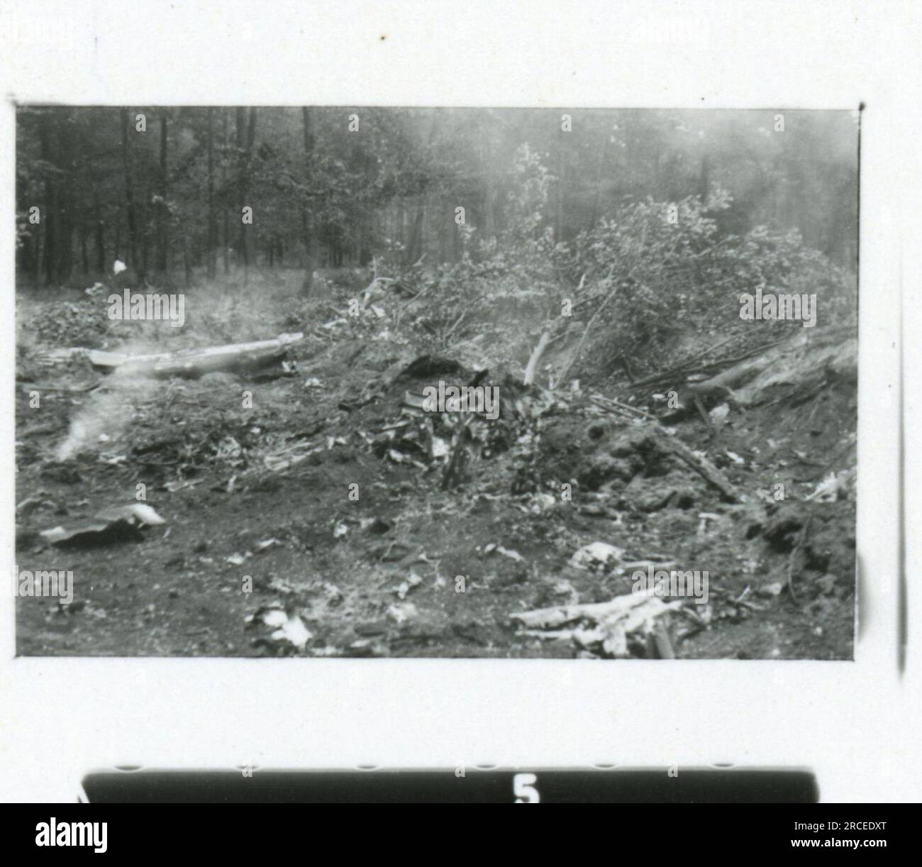 SS-Fotograf Feder 1943 & 1944 Überreste von abgestürzten Flugzeugen, viele einzelne Soldaten, Offiziere, Frauenporträts, belgische Soldaten, Rexist , detaillierte Fotos von einer Nachschubbombe, Raketenwerfer, Kasernenszenen, Gewehr- und Pistolenschießen-Übung, Familien mit Kindern Bilder von den Frontaktivitäten der Waffen-SS-Einheiten an der westlichen und östlichen Front, einschließlich Polen, Frankreich, Balkan, Italien, Und Russland sowie Trainingsübungen, Porträts von Einzelpersonen und Gruppenansichten und Szenen von Städten und der lokalen Bevölkerung. Stockfoto