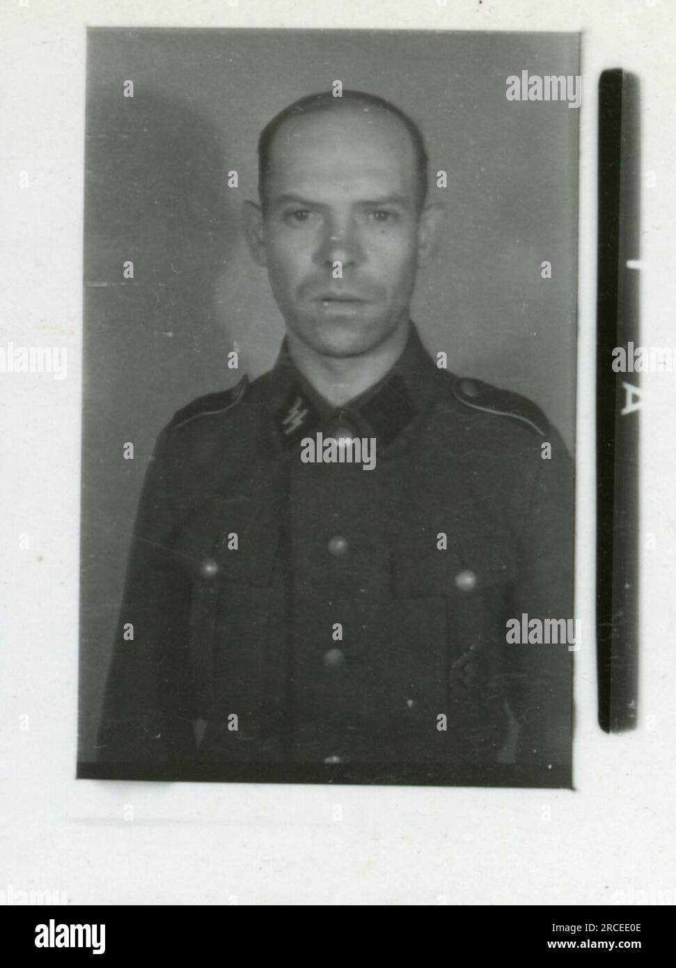 SS-Fotograf Feder 1943 & 1944 Überreste von abgestürzten Flugzeugen, viele einzelne Soldaten, Offiziere, Frauenporträts, belgische Soldaten, Rexist , detaillierte Fotos von einer Nachschubbombe, Raketenwerfer, Kasernenszenen, Gewehr- und Pistolenschießen-Übung, Familien mit Kindern Bilder von den Frontaktivitäten der Waffen-SS-Einheiten an der westlichen und östlichen Front, einschließlich Polen, Frankreich, Balkan, Italien, Und Russland sowie Trainingsübungen, Porträts von Einzelpersonen und Gruppenansichten und Szenen von Städten und der lokalen Bevölkerung. Stockfoto