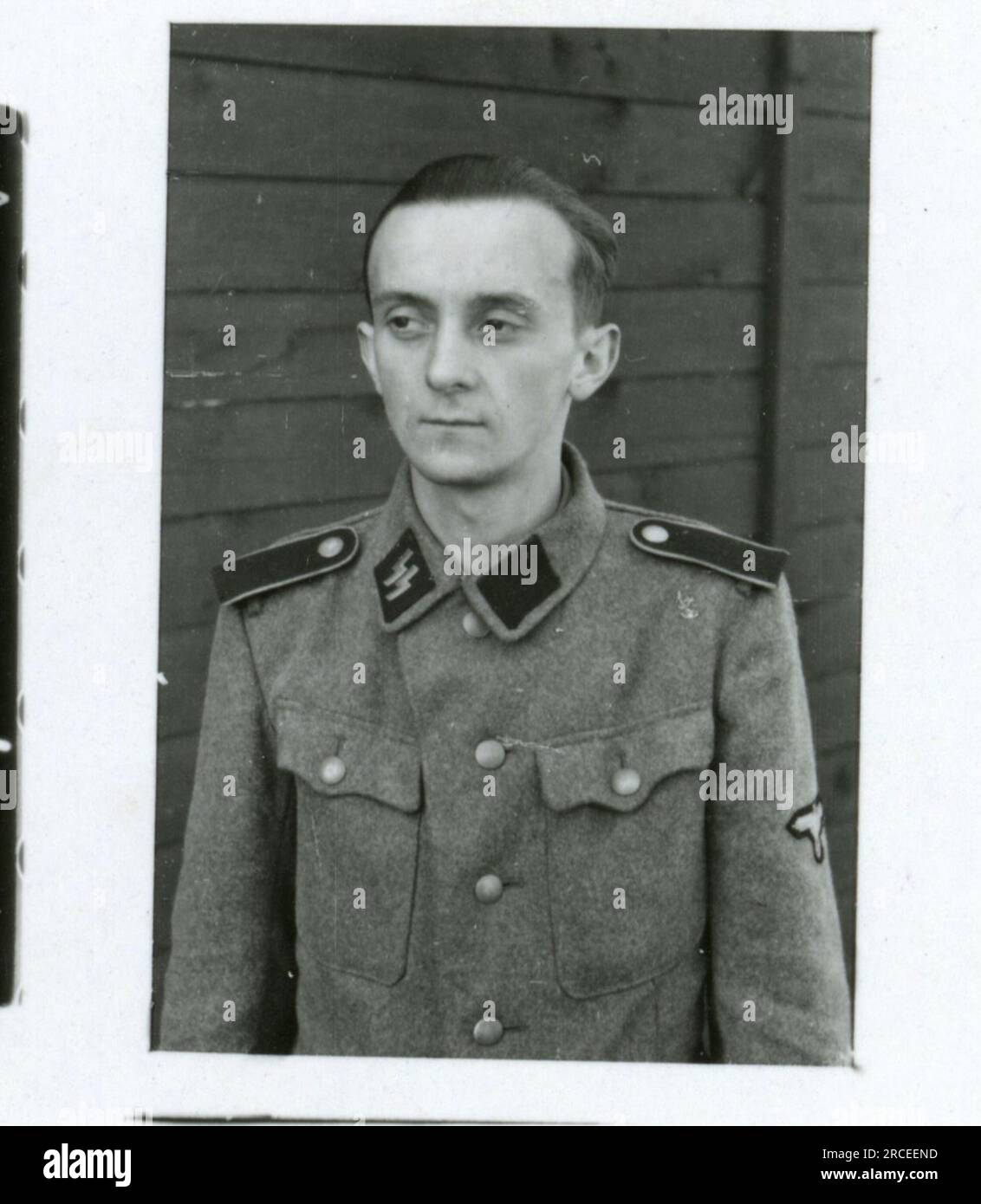 SS-Fotograf Feder 1943 & 1944 Überreste von abgestürzten Flugzeugen, viele einzelne Soldaten, Offiziere, Frauenporträts, belgische Soldaten, Rexist , detaillierte Fotos von einer Nachschubbombe, Raketenwerfer, Kasernenszenen, Gewehr- und Pistolenschießen-Übung, Familien mit Kindern Bilder von den Frontaktivitäten der Waffen-SS-Einheiten an der westlichen und östlichen Front, einschließlich Polen, Frankreich, Balkan, Italien, Und Russland sowie Trainingsübungen, Porträts von Einzelpersonen und Gruppenansichten und Szenen von Städten und der lokalen Bevölkerung. Stockfoto